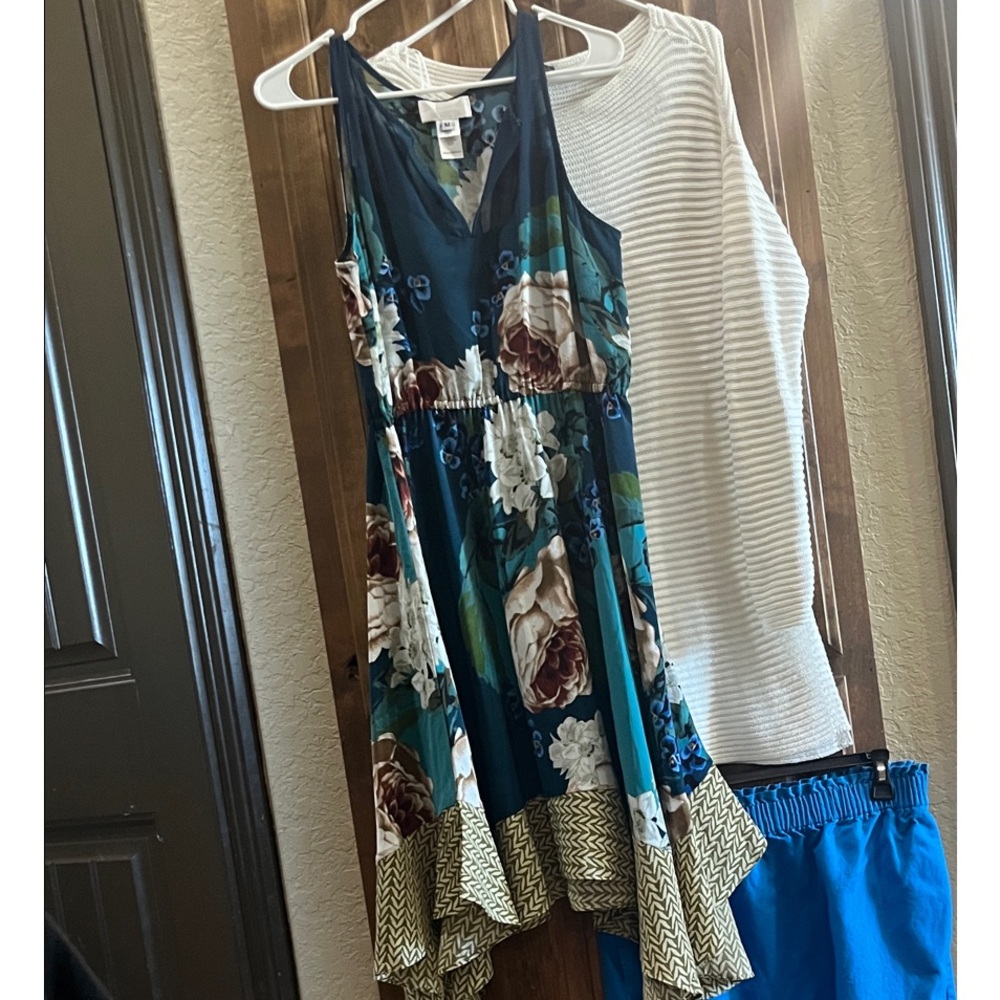 Floral Sleeveless Dress with Ruffle Hem